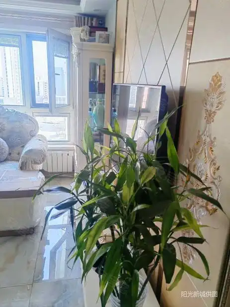 云江新苑商业配套齐全中间楼层采光好低密宜居南北通透