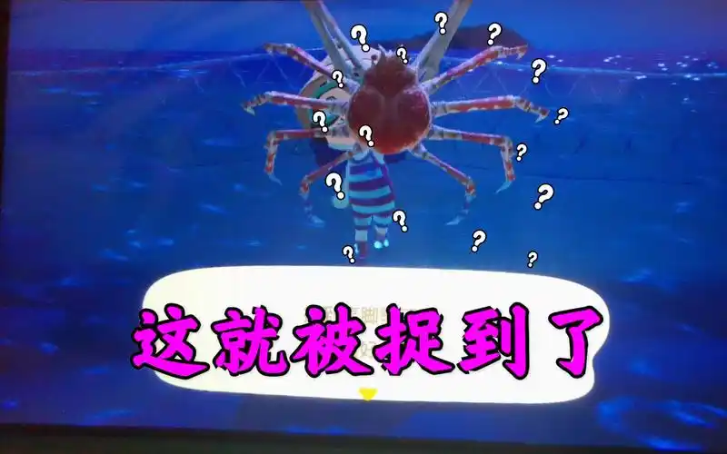 【游戏知识】如何捕捉高脚蟹?简易攻略来了||动森