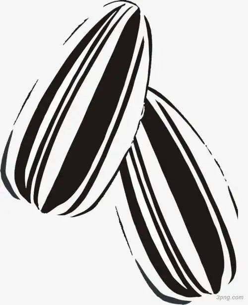 简笔画葵瓜子png素材透明免抠图片-其他元素
