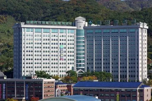 白石大学 baelkseok university - 宇青教育出国留学院校库