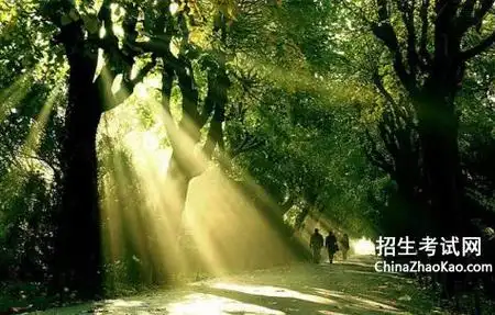 赏心悦目造句10个字