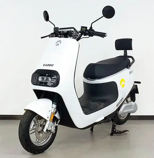 金箭牌jj1000dt-4b电动两轮摩托车公告图片