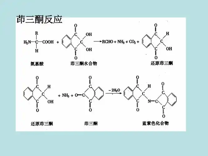 ⒉双缩脲反应(biuret reaction)蛋白质和多肽分子中肽键在稀碱溶液