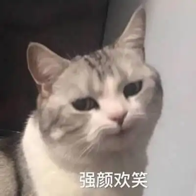 强颜欢笑(猫咪)