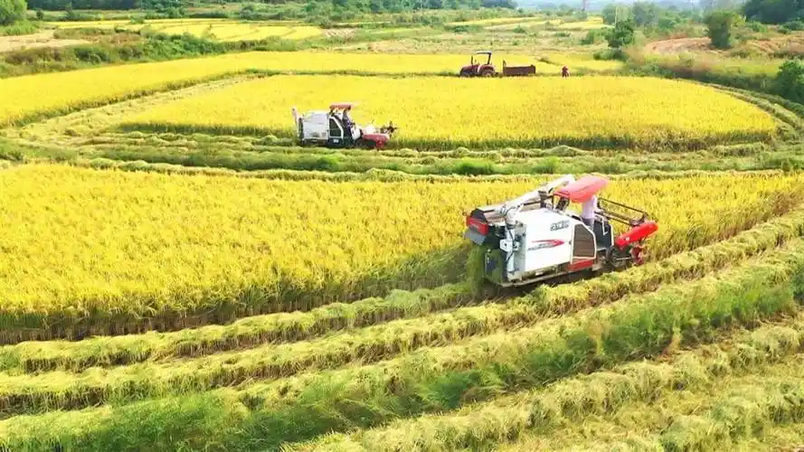 湖北孝昌获评全国农业生产全程机械化示范县