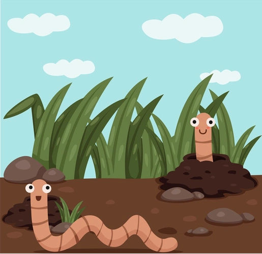 你切我一刀,我一分为二