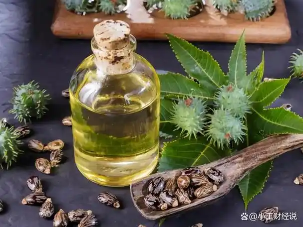 蓖麻毒素02克就能致命曾在农村随处可见美国当战略物资储备