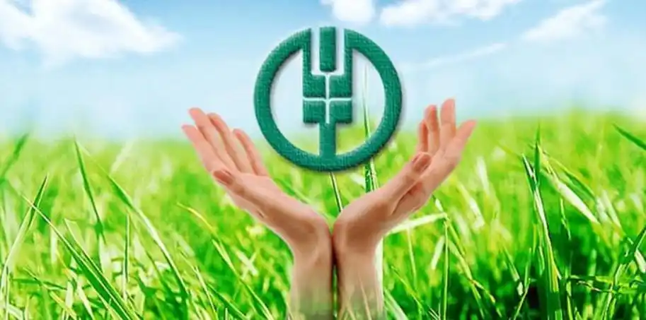 农行绿 催开民族团结之花