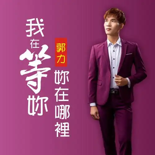 郭力- 我在等你你在哪里(伴奏)