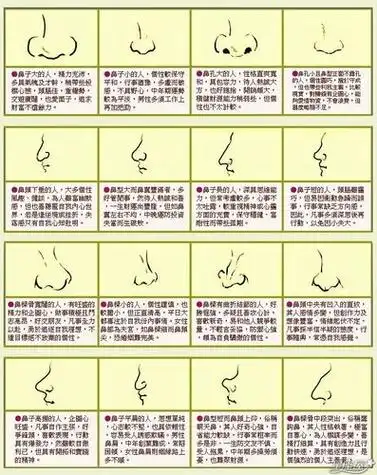 面相分析鼻子看男人面相男人各种鼻型图解观风水-卜安居