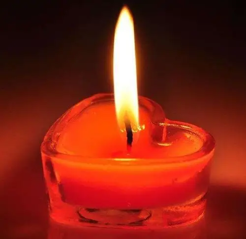 沉痛悼念一老红军爷爷蒋本兴