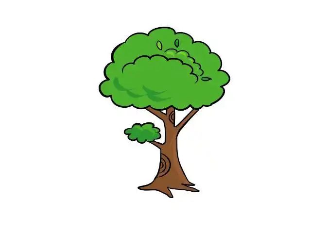 大树简笔画 大树简笔画画法 - 童乐福儿童网