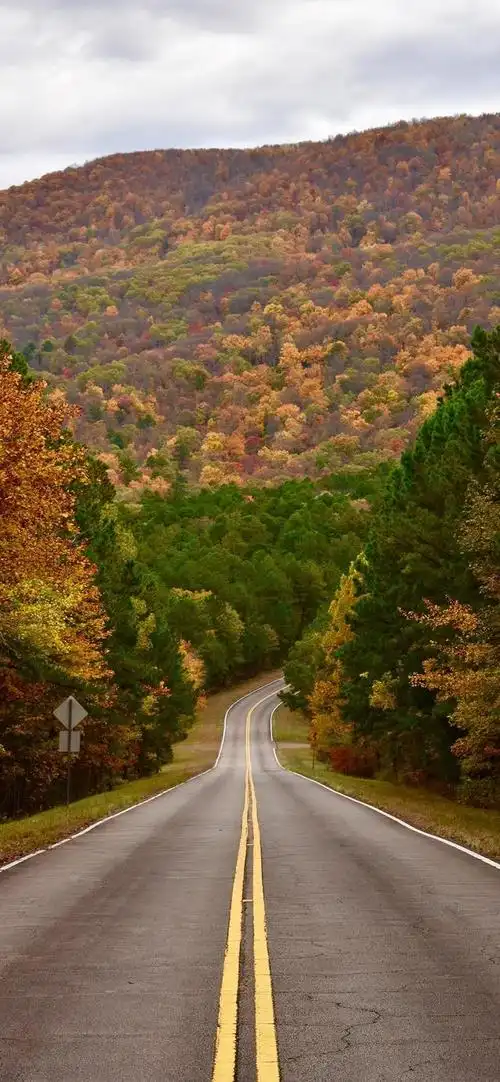 多彩壁纸493期|城市道路风景手机壁纸
