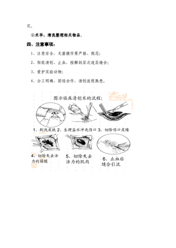 清创缝合术操作流程演示教学.doc