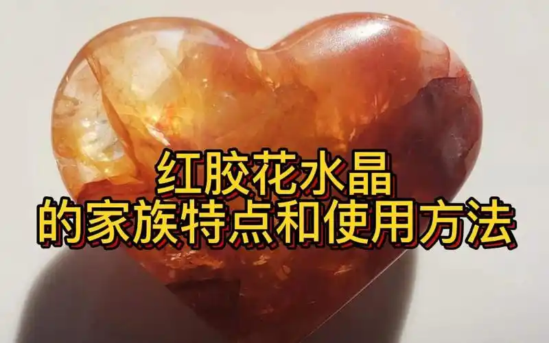 红胶花水晶家族的特点和使用方法