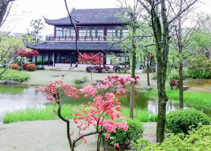 无锡风光(杜鹃园)