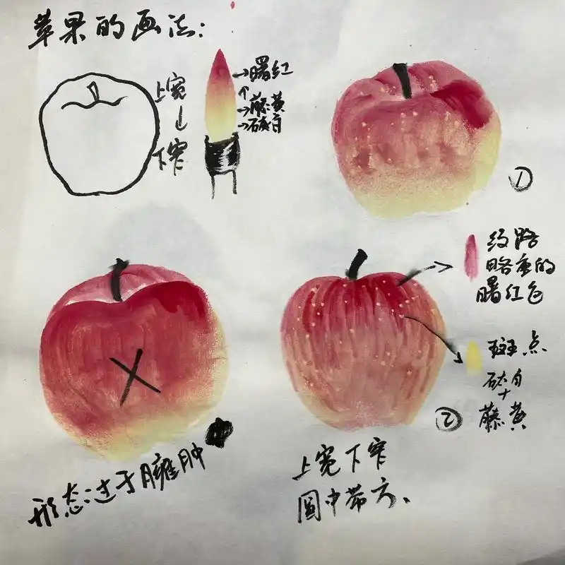 苹果的绘画重点笔记#国画苹果 #儿童国画 - 抖音