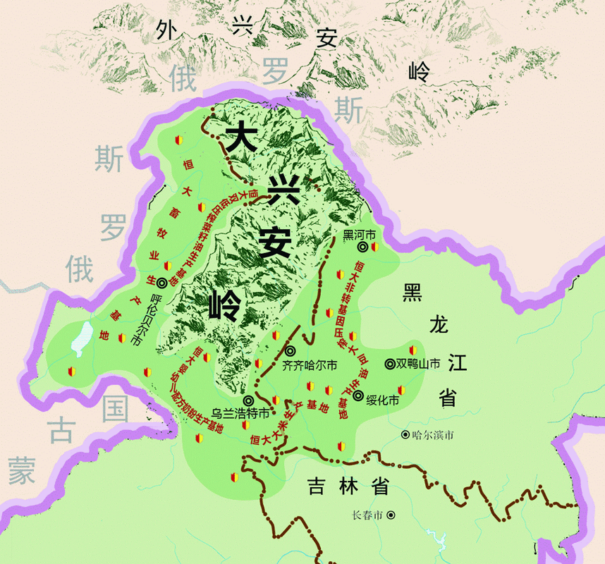致富经祝嗣臣:草根创业种大兴安岭寒地灵芝,三年越过盈亏平衡点,秘籍