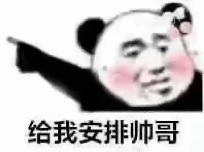 给我安排帅哥