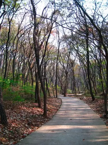 皇藏峪冬季山林图(五)