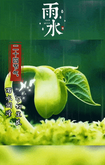 原创2022年2月19日正月十九雨水清晨早上好问候图片雨水最新早安祝福