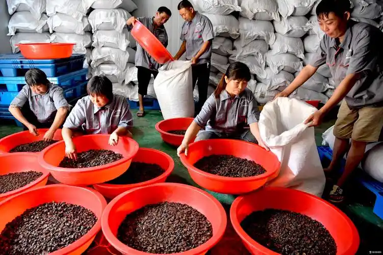 8月17日在谯城区文忠土元养殖合作社,工人们正在忙着分拣土元,准备