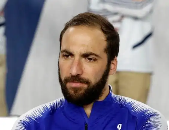 资料图:有头发的伊瓜因