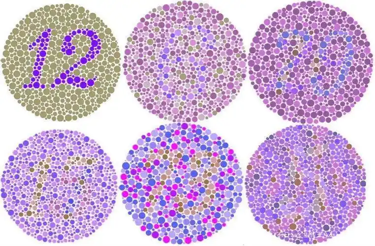 心理常识02——正确区分色盲与色弱