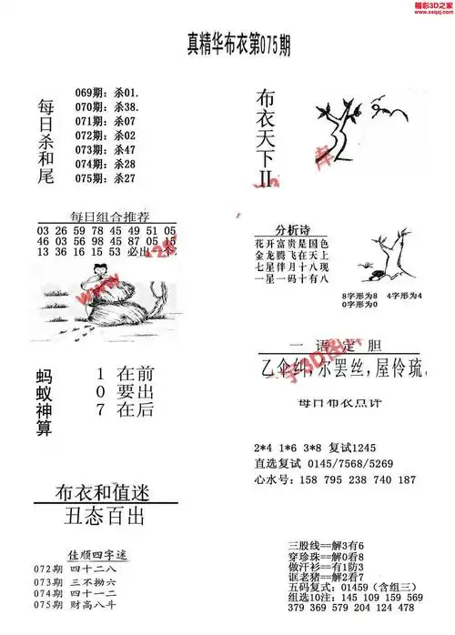 3d17075期真精华布衣天下123456