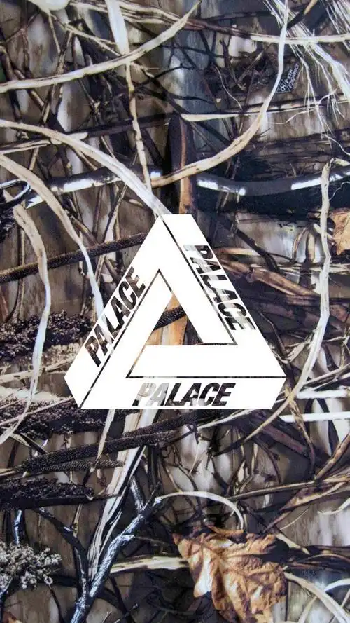 palace手机壁纸