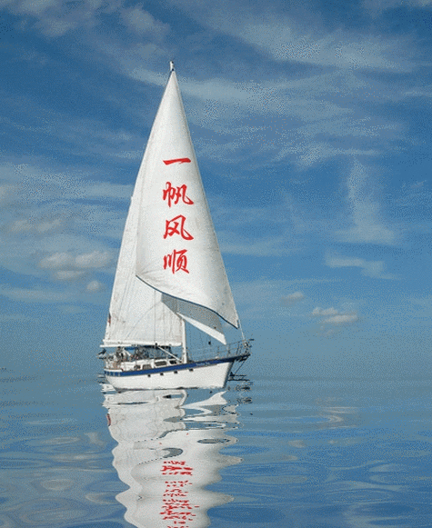 500_612gif 动态图 动图