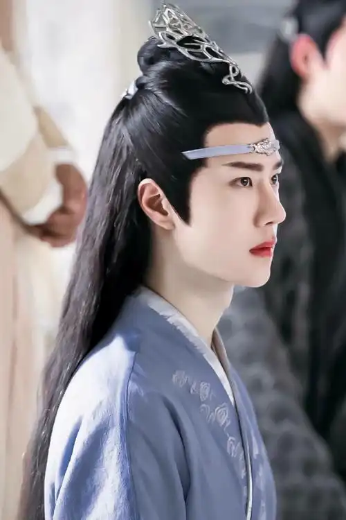 陈情令有钱哥哥蓝二公子