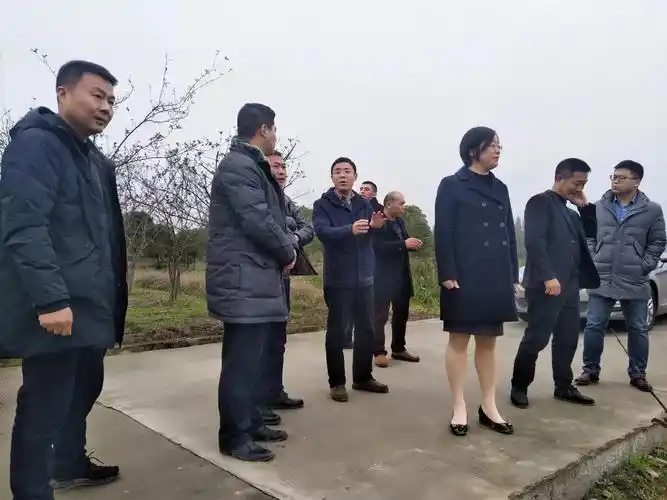 都江堰市副市长陈丽娜莅临何家社区调研考察