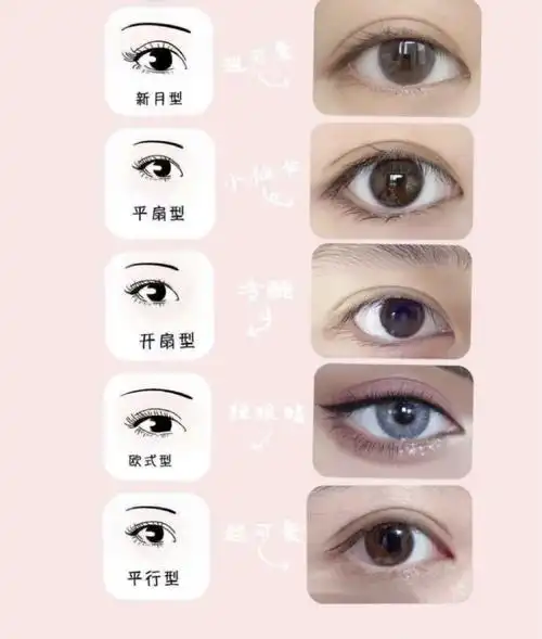 双眼皮眼型的真人图片