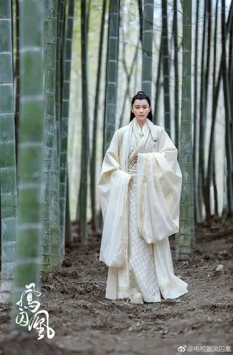 凤囚凰,古装美人,剧照,古风,张馨予