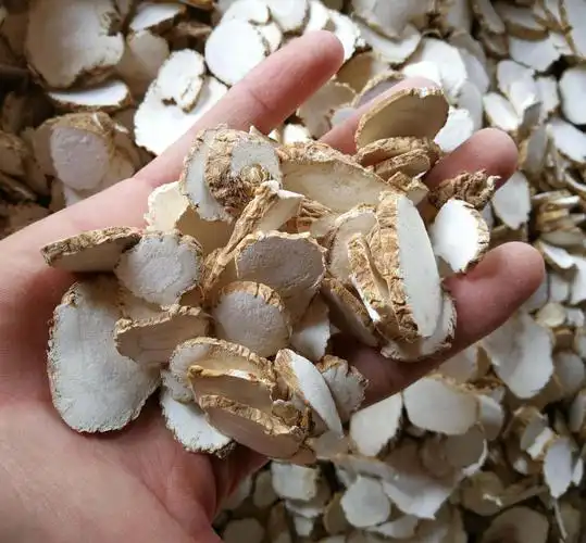 钓鱼禁药山奈为何黑坑不让使用浅谈诱鱼机理和应用效果