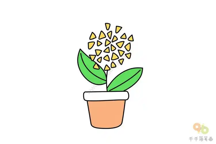 小长寿花盆栽简笔画