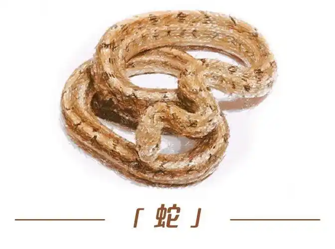 云南全面禁野了禁哪些怎么禁