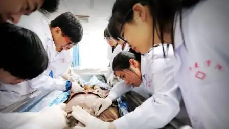 医学院用来解剖的尸体,都是从哪里来的?看完涨知识了
