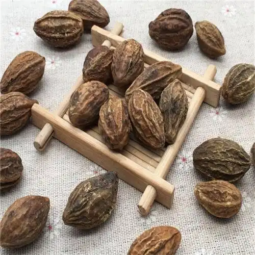 诃子云南野生 新货中药材中药材金诃子柯子诃子肉呵子有仁堂 100克