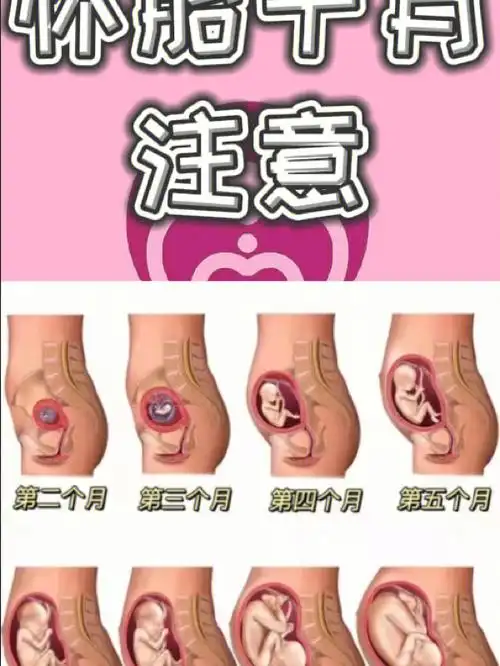 十月怀胎宝宝想对你说的话