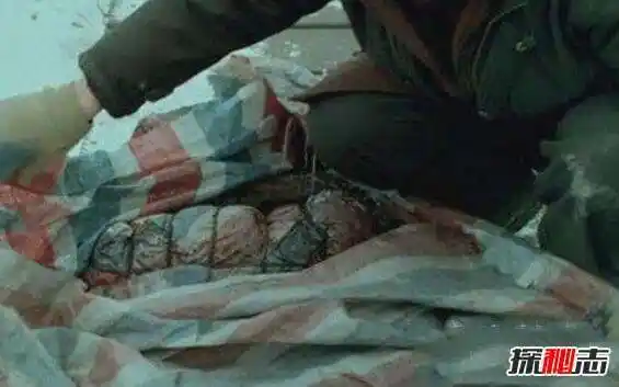 李昌钰谈南大碎尸案称没有物证再多的推理都没用