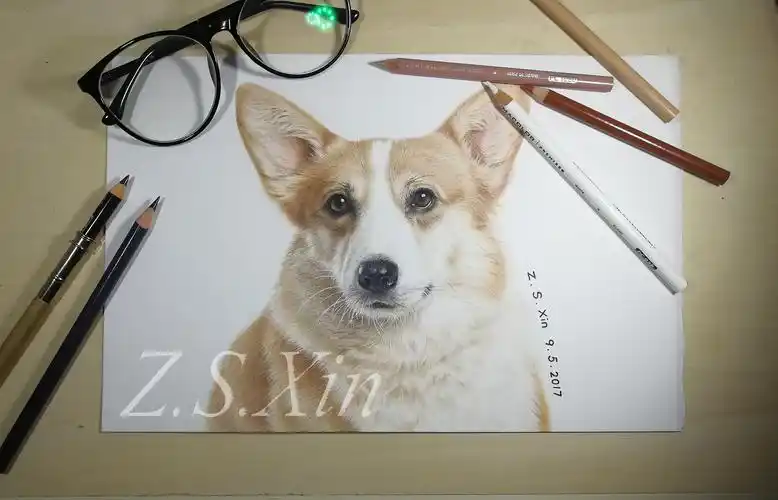 【z.s.xin彩铅手绘】柯基