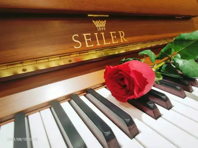 德国赛乐尔钢琴唯美照片
