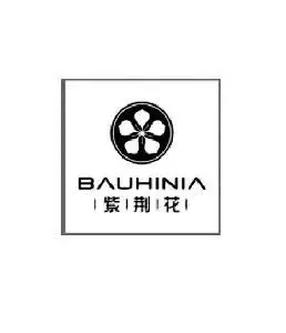 紫荆花 bauhinia