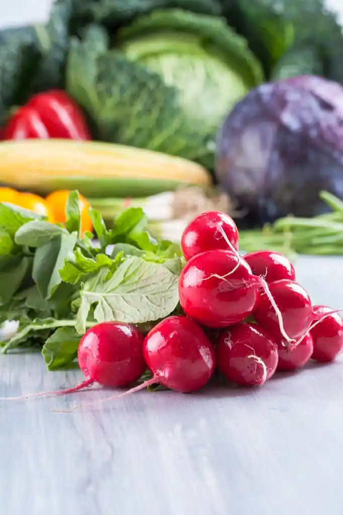 蔬菜,密切了照片的食用蔬菜-萝卜与一些绿色的顶部和一些蔬菜中固体木