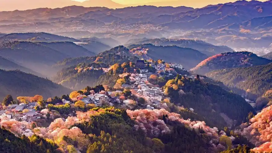 日本奈良县吉野山2021风景高清照片图片