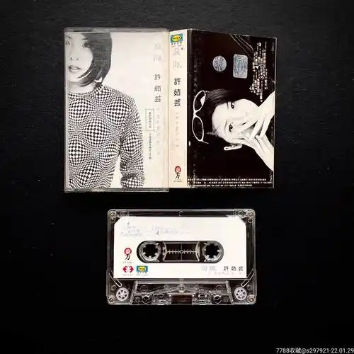 许茹芸泪海85新