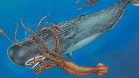 大王乌贼vs巨枪乌贼世界上体型最大无脊椎动物之争体长达20米