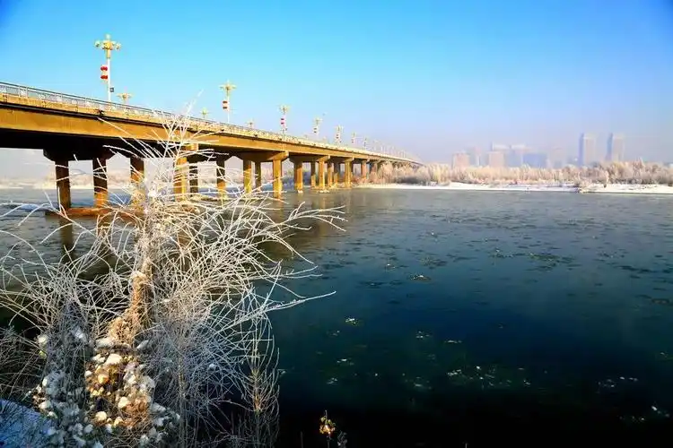 伊宁市:赏雾凇观鸟翔,看伊犁河诗情画意